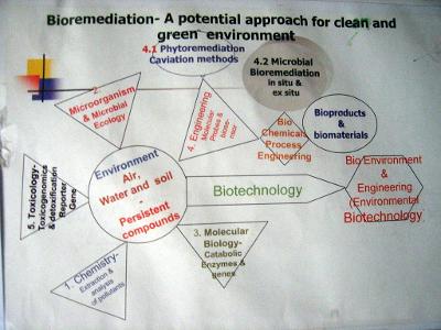 What is the purpose of using bioremediation in biotechnology?