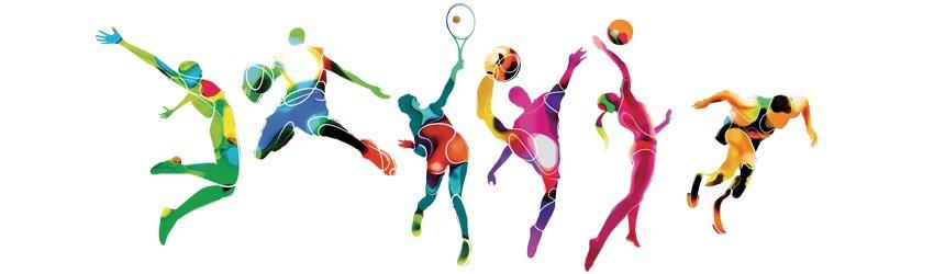 What is your favourite sport?