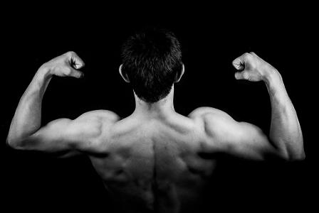 Which body part is often neglected in muscle-building workouts?