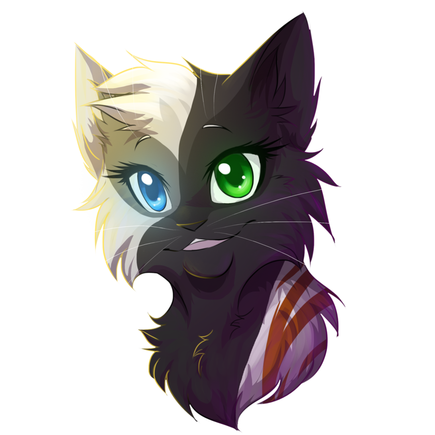Hello! Welcome to my quiz! Lets get started! Favorite pelt type?