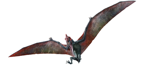 What Pteranodons did not  eat?