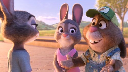 What occupation does Judy's Parents have?