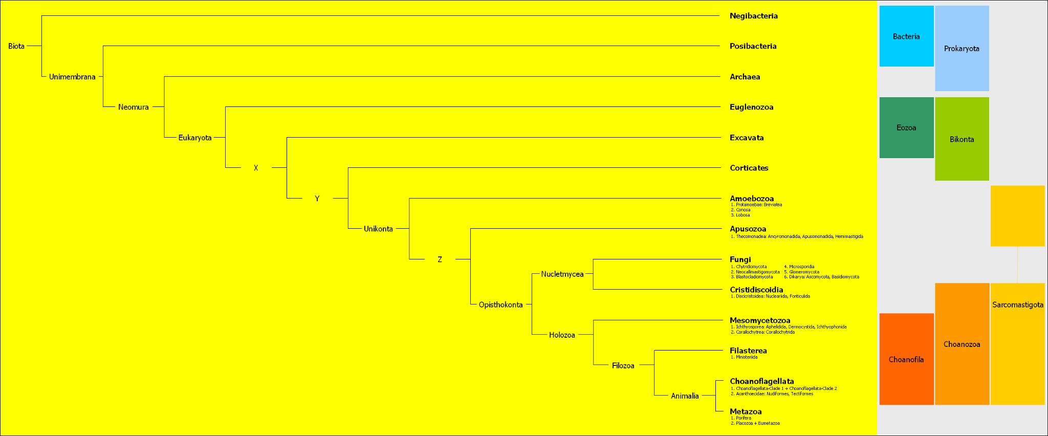 Which of the following is an example of a eukaryotic microorganism?