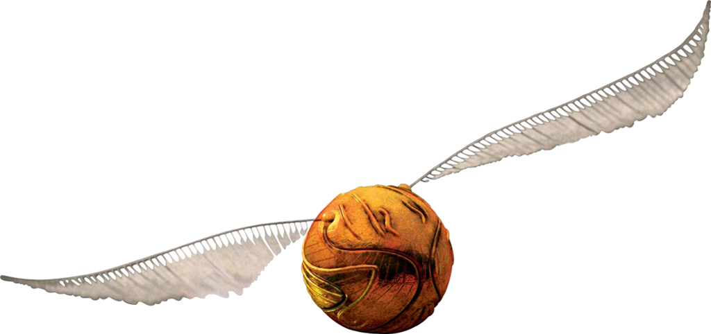 if you were to make the quidditch team what would you do..