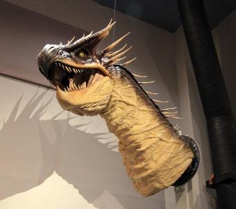What is the name of the dragon from the 'Harry Potter' series?