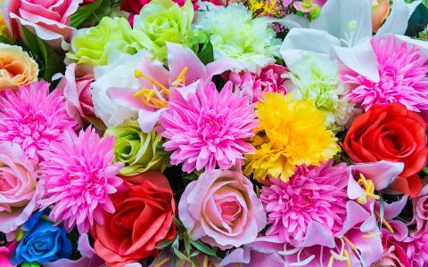 Which of these flowers do you think are prettiest? (google any that you are unfamiliar with)
