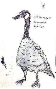 Plural of geese