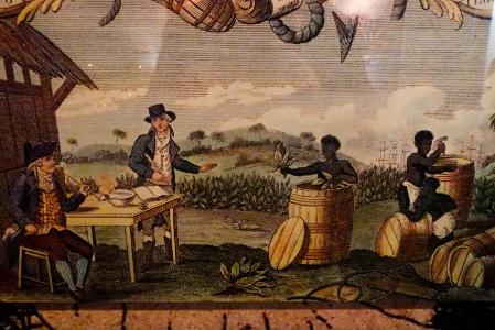 What was the main cash crop of the Middle colonies?