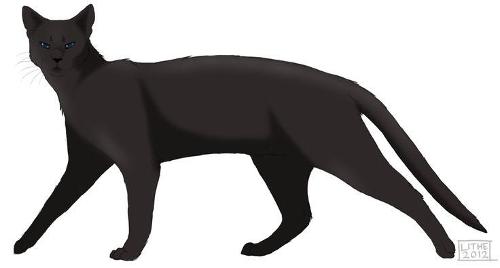 Who were the two cats Crowfeather loved before he met Nightcloud?