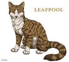 Who was Leafpool's mentor?