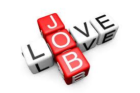 What is your dream job?