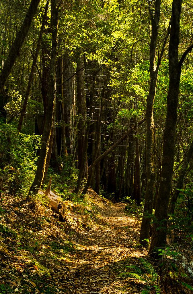 What does the phrase 'take a hike' mean?