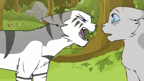 What do you think of warrior cats?