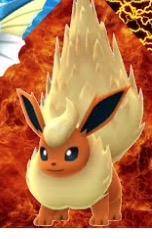 Me: next up is flareon! Flareon: what to I do? Me: whatever you want. Flareon: do you like gaming?