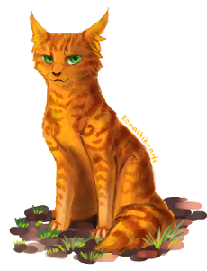 Question Three; Which Two Things Did Ivypool Say To Firestar?