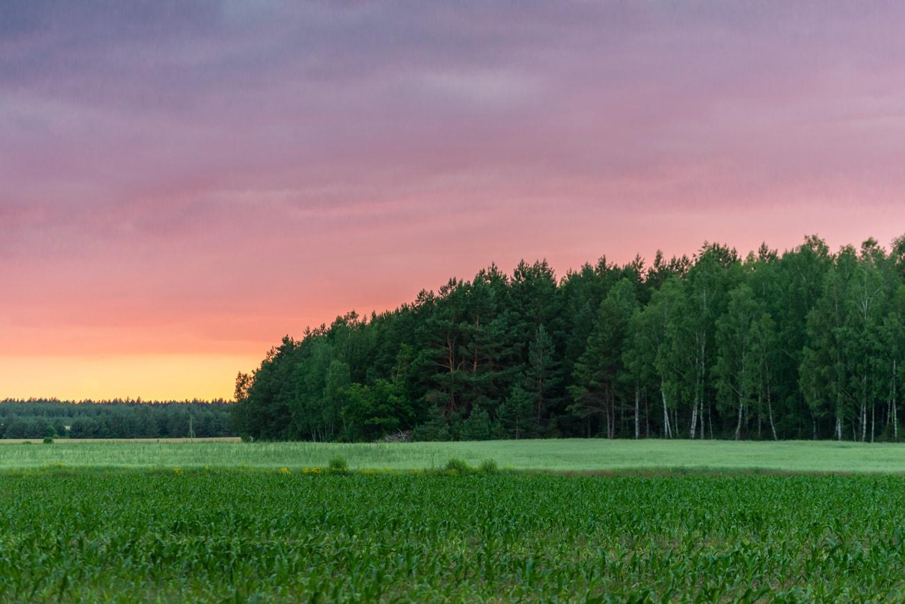 Choose your favorite landscape: