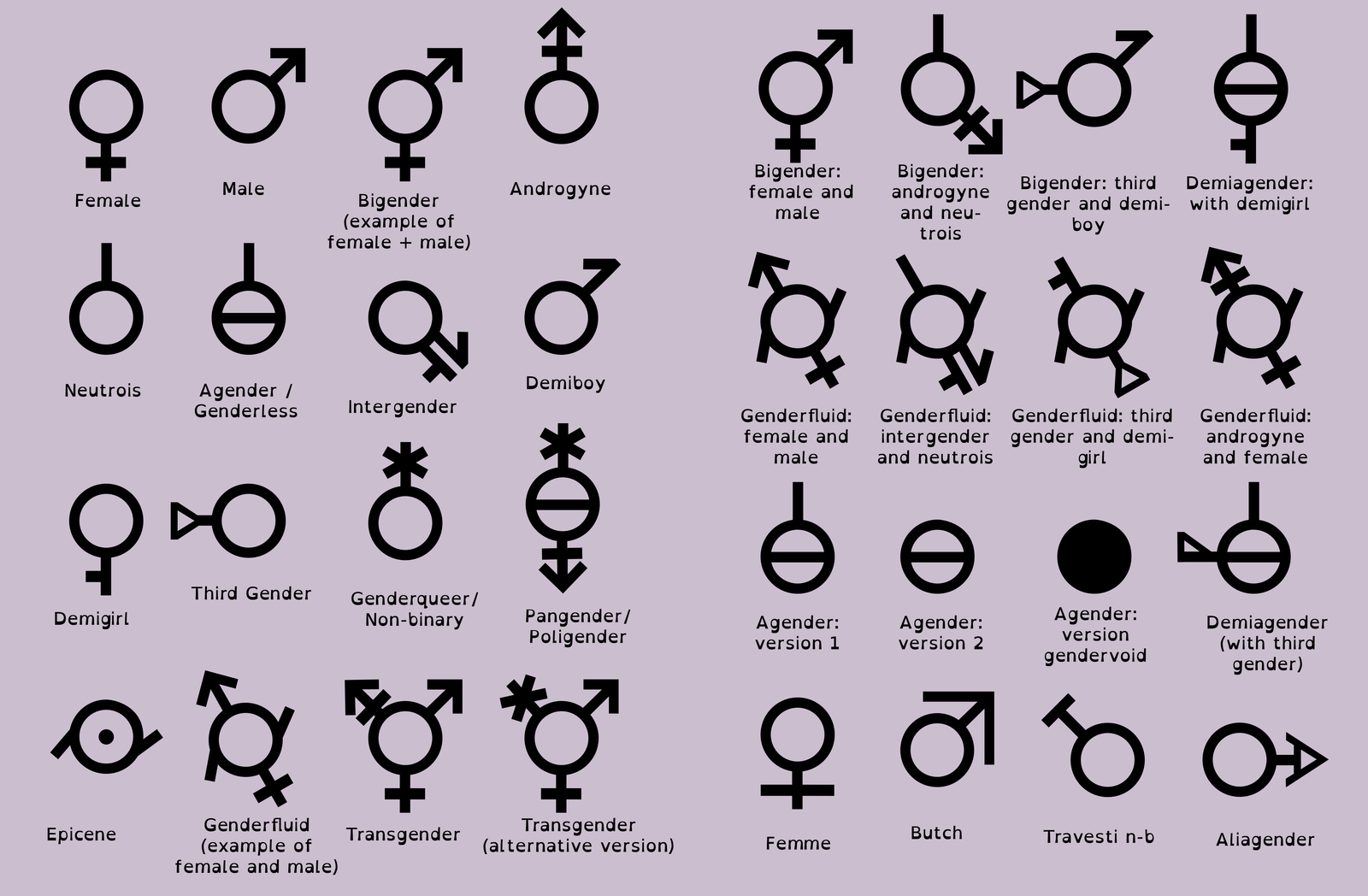 Quiz male sexuality The Kinsey