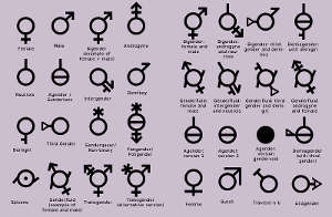 Test pansexuell Bisexual vs.