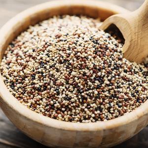 Which of the following grains is gluten-free and suitable for vegans?
