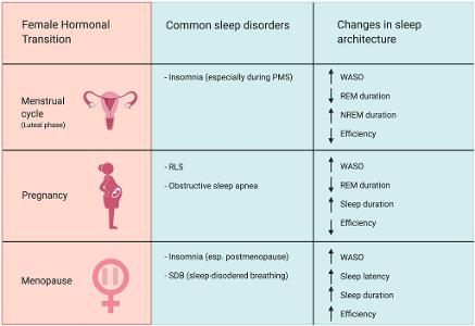 Which hormone helps regulate sleep-wake cycles?