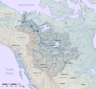 Where does the longest river flow into the sea?