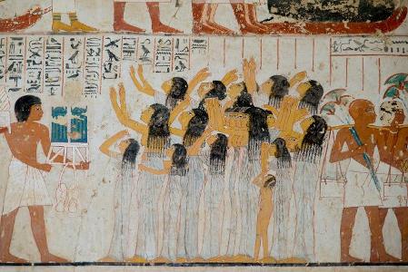 What was the main crop of Ancient Egypt?
