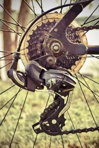 Which component of a mountain bike is responsible for shifting gears?