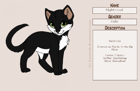What is name of the first medicine cat of shadowclan?