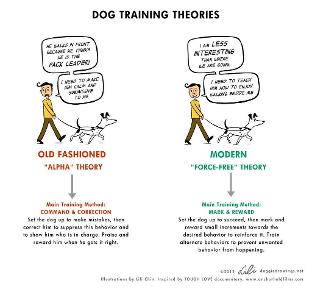 What type of training do you enjoy the most?