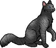 Jayfeather was reincarnated from: