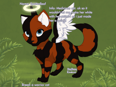 Which medicine cat do you like most (from thunderclan)