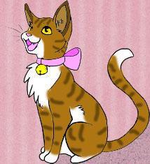Question five; Who is Fireheart's sister?