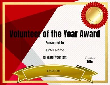 What was the title of the award I received for community service?