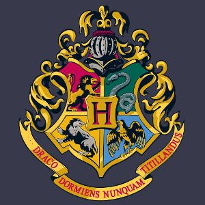 What Hogwarts house are you in?