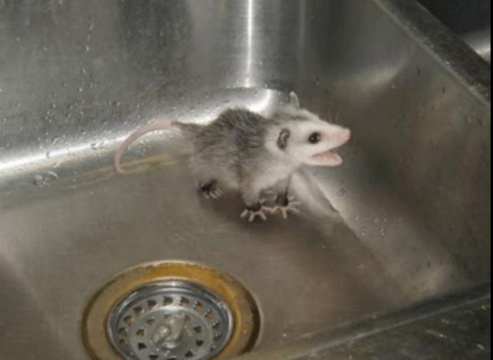 Someone takes your food, you: