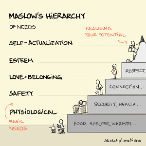Which psychologist introduced the concept of the hierarchy of needs?