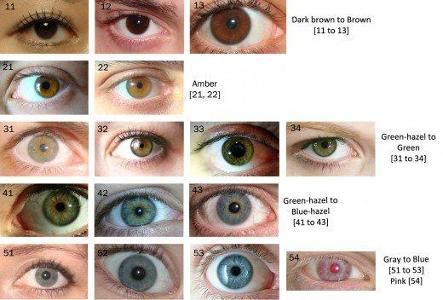 What color are your eyes?