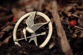 Which Hunger Games character do you identify with? (remember personality, goals, character-not favoritism or appearance)