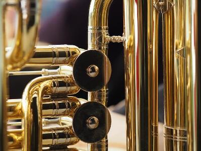 Which instrument belongs to the brass family?