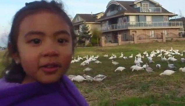 “Look at all those _____!”