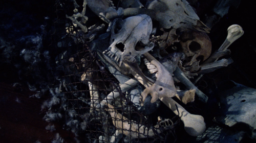 You find yourself trapped in a room with a bunch of skeletons and skulls. What do you do?