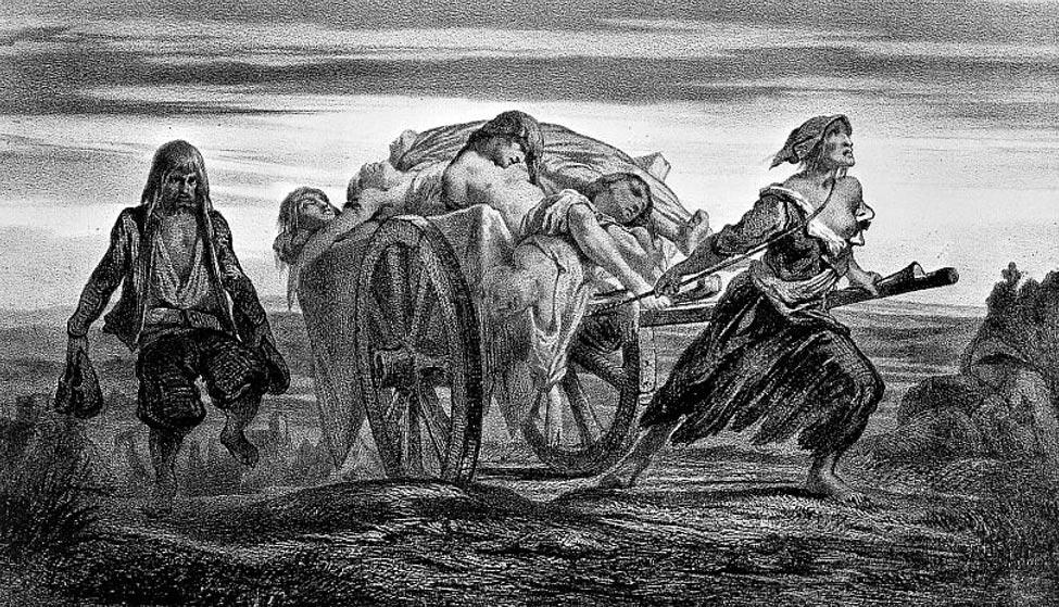 How many people did the Black Plague kill?