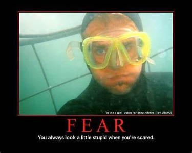 When you get scared, you like to?