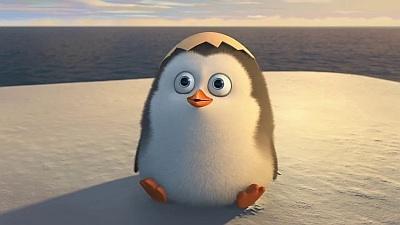 Which penguin do you think you are most like?