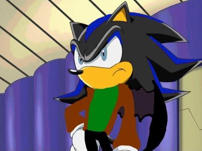 You see a male hedgebat flying at your window. "Are you ___?" He asked looking at you. You nodded seeing Alexis who didn't have her wings. "I am Shaden, Shaden the Hedgebat."