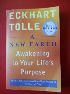What is the main concept behind Eckhart Tolle's book 'The Power of Now'?