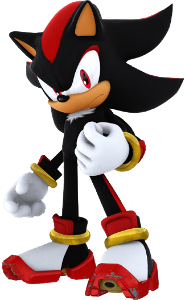 "Are you an idiot? Of course we're not going to kill her!" yelled knuckles. He started to advance towards Silver, an angered look on his face before Shadow put a hand on his chest to stop him. "Enough".