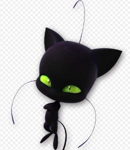 What is the name of Cat Noir's Kwami?