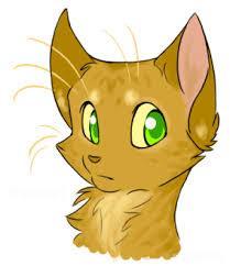 In the book into the wild what is firestar's name before he joins the clan?