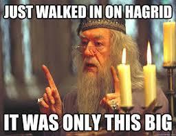 Do you take offense when I say "Hagrid's buttcrack"